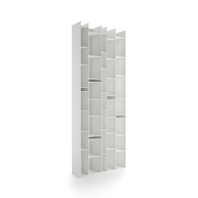 Molteni Piroscafo - Bookcase